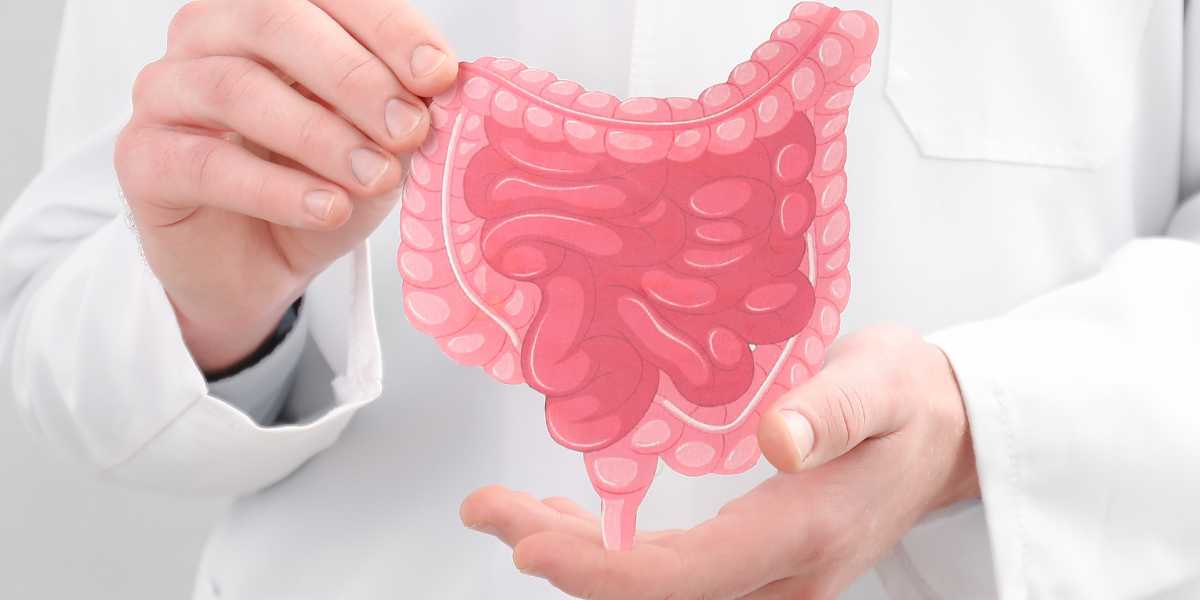 Saúde Intestinal: 5 Hábitos Essenciais