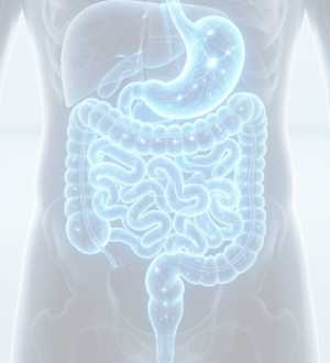 O eixo cérebro-intestino: compreenda a conexão entre mente e saúde digestiva