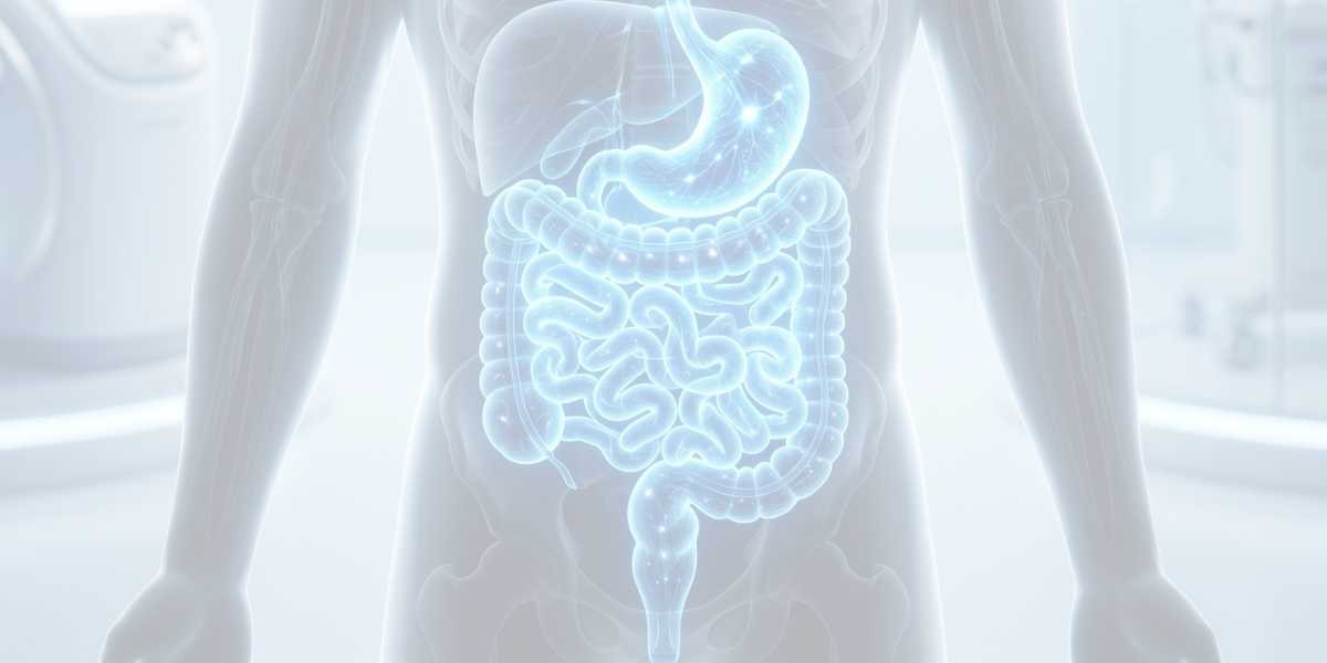 O eixo cérebro-intestino: compreenda a conexão entre mente e saúde digestiva